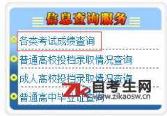 如何查询2019年10月银川市自学考试成绩？